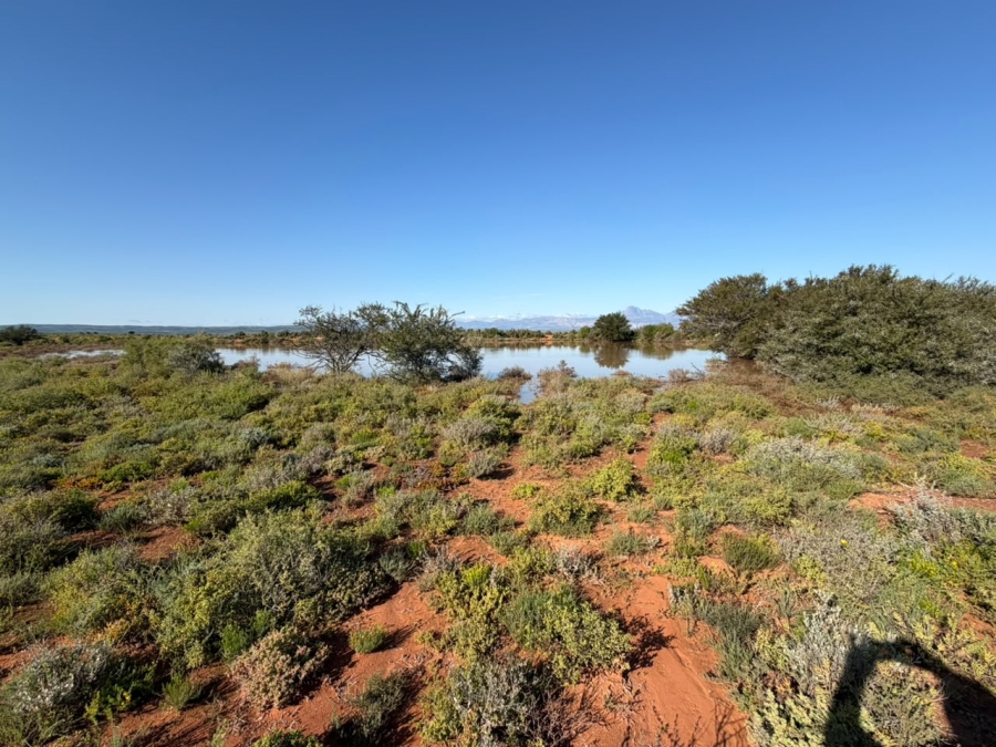 0 Bedroom Property for Sale in Steytlerville Eastern Cape